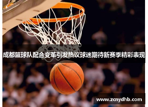成都篮球队配合变革引发热议球迷期待新赛季精彩表现