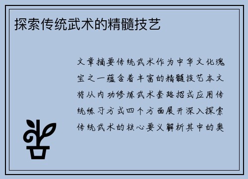 探索传统武术的精髓技艺